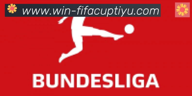 FIFA世界杯竞猜入口合作伙伴